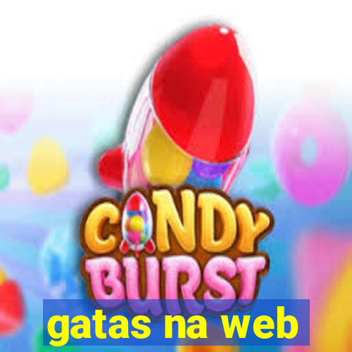 gatas na web